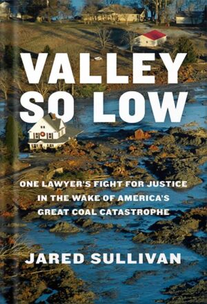 دانلود کتاب Valley So Low: One Lawyer's Fight for Justice in the Wake of America's Great Coal Catastrophe by Jared Sullivan